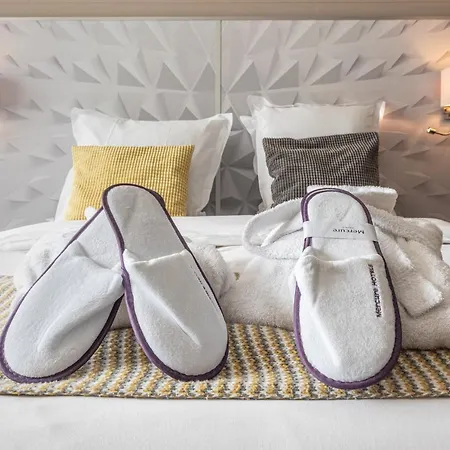 Mercure Annecy Sud Hotel Seynod