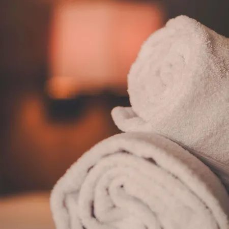 Mercure Annecy Sud Hotel Seynod